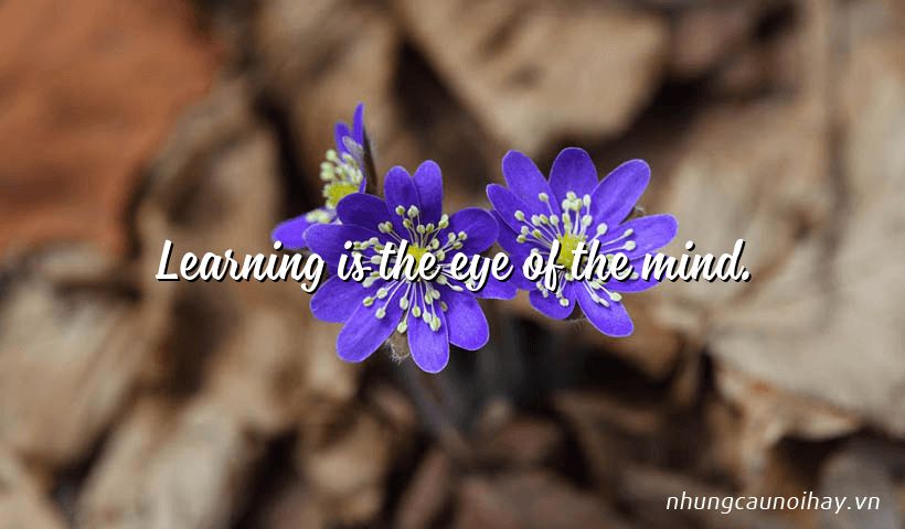 learning is the eye of the mind - Tổng hợp những câu nói hay về học tập nổi tiếng nhất